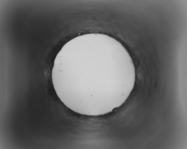 X0000088491495200706191415