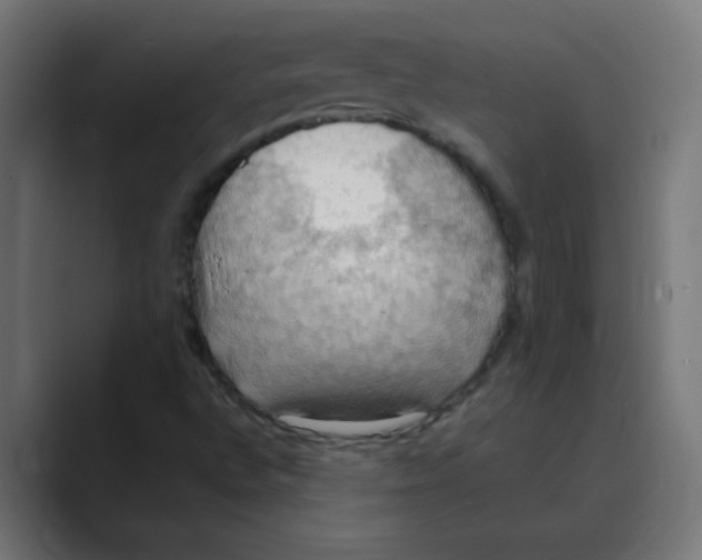 X0000088491496200706191415