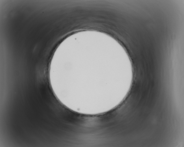 X0000088491498200706191415