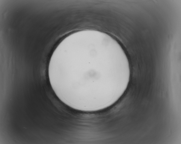 X0000088491499200706191415