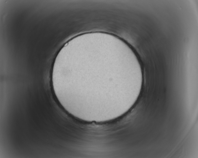 X0000088491500200706191415