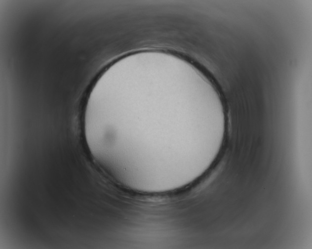 X0000088491501200706191415