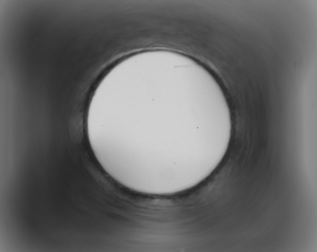 X0000088491503200706191415