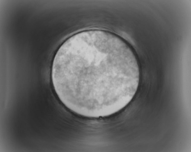 X0000088491504200706191415