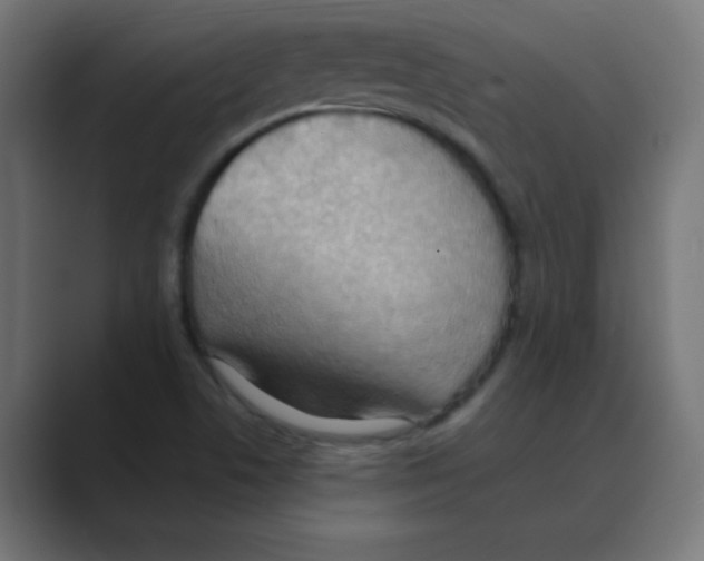 X0000088491506200706191415