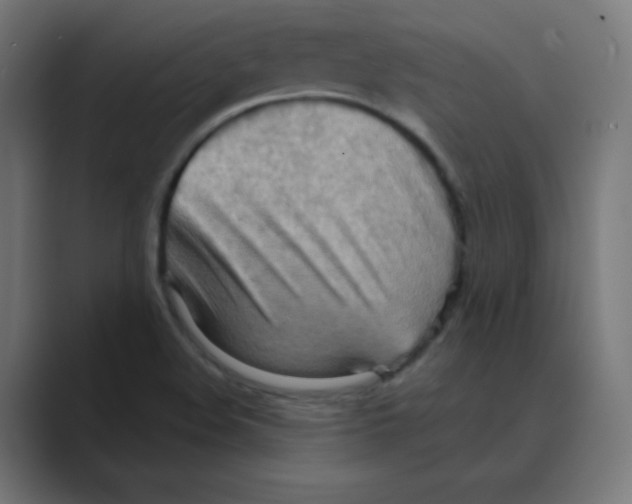 X0000088491508200706191415