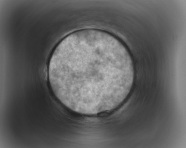 X0000088491509200706191415