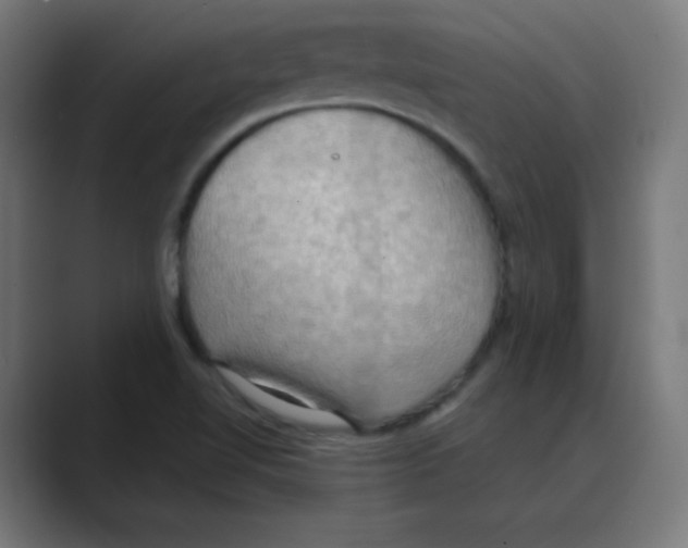 X0000088491510200706191415