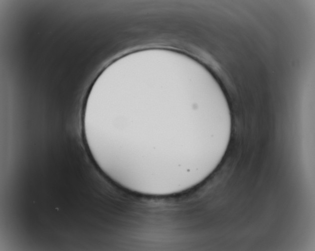 X0000088491512200706191415