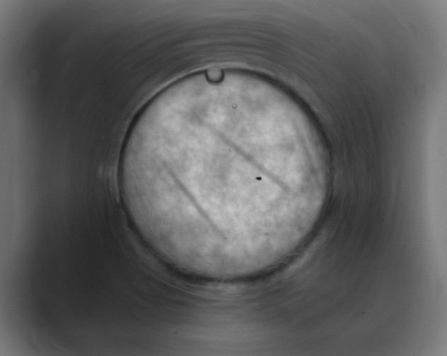 X0000088491513200706191415