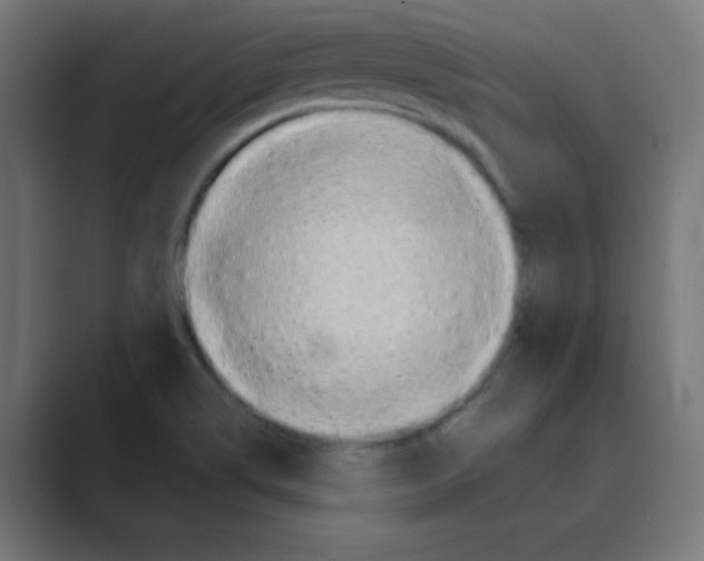 X0000088491514200706191415