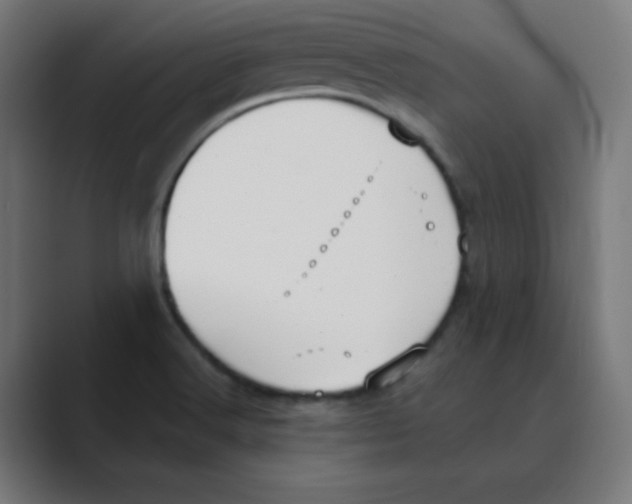 X0000088491516200706191415