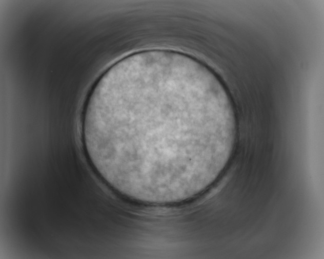 X0000088491517200706191415