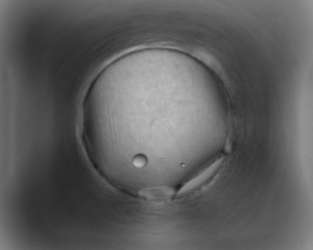 X0000088491520200706191415