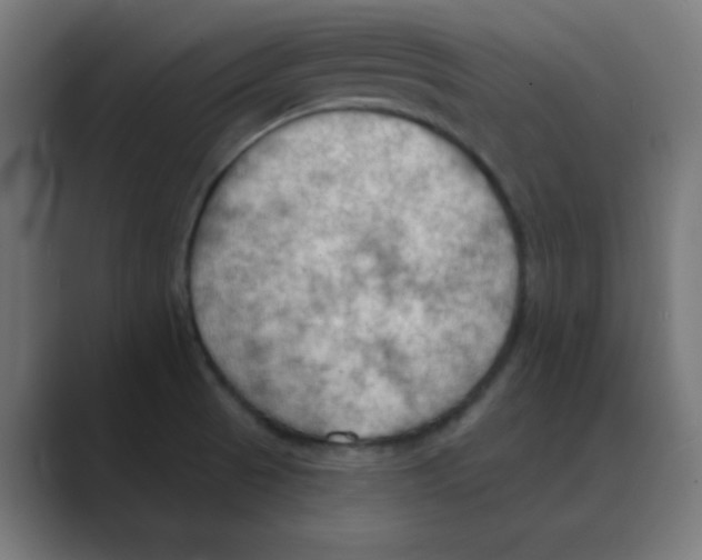 X0000088491521200706191415