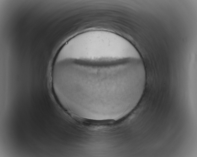 X0000088491522200706191415