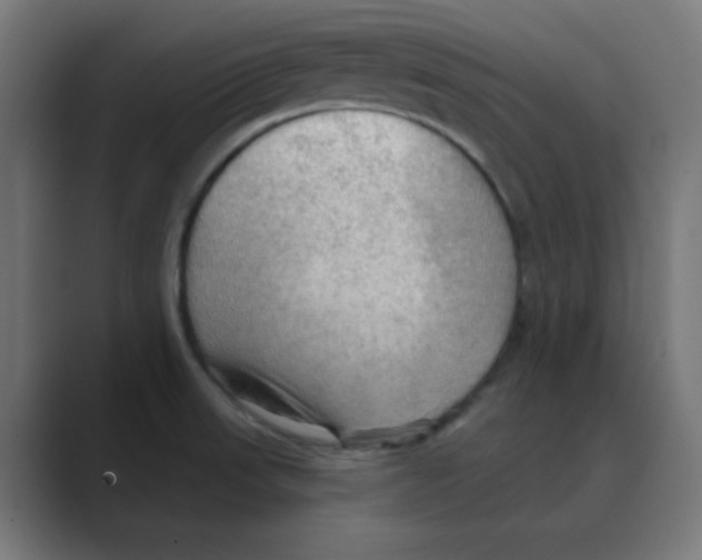 X0000088491523200706191415