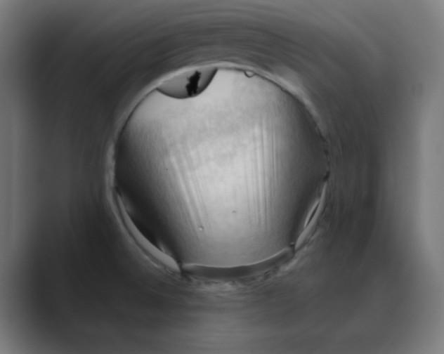 X0000088491524200706191415