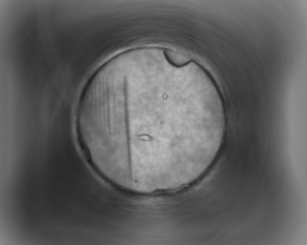 X0000088491525200706191415