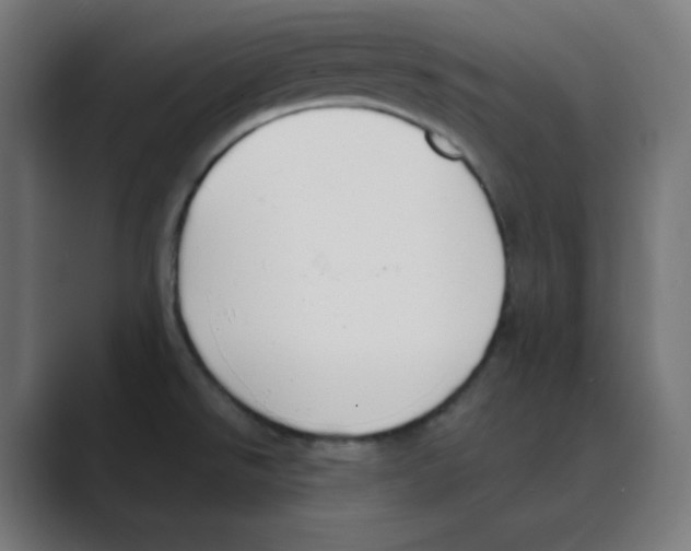 X0000088491526200706191415