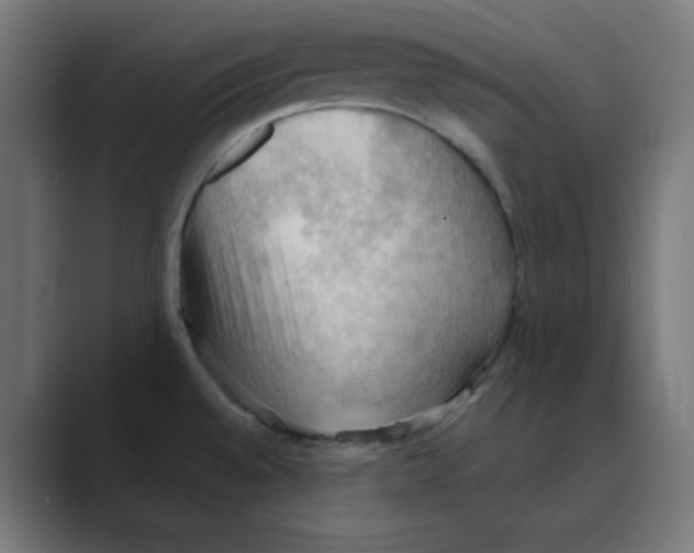 X0000088491528200706191415