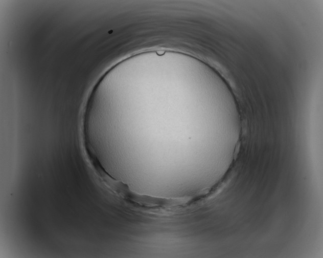 X0000088491530200706191415