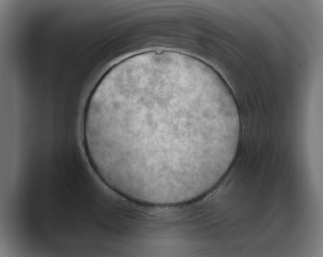 X0000088491531200706191415