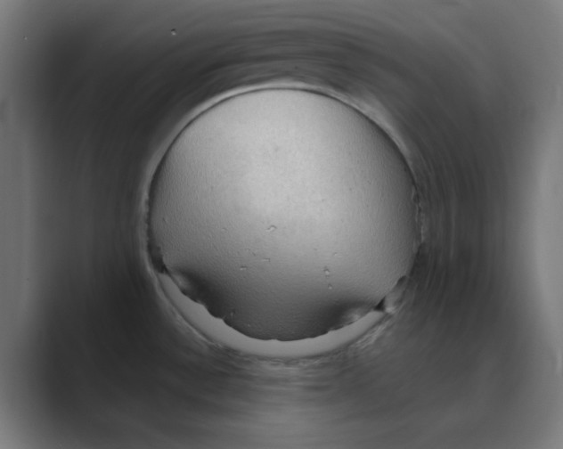 X0000088491532200706191415