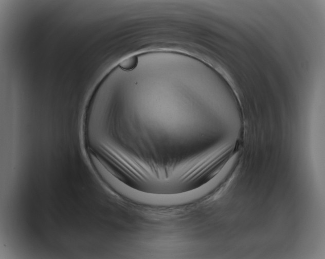 X0000088491533200706191415