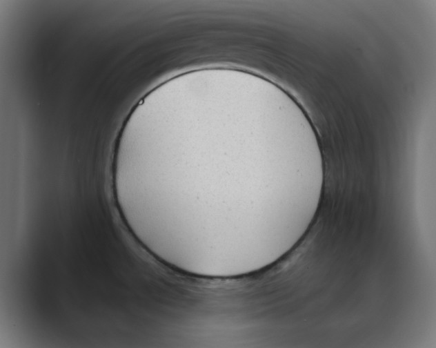 X0000088491534200706191415