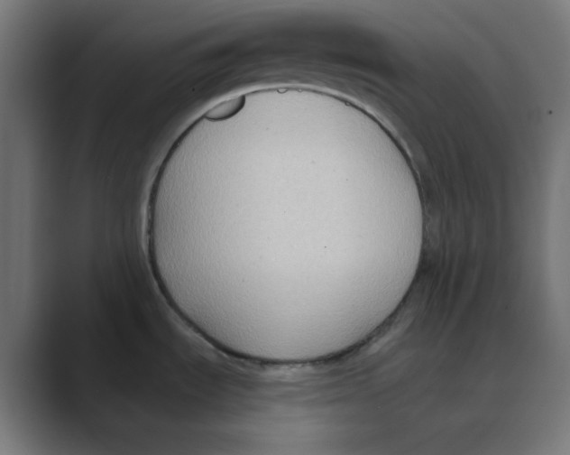 X0000088491535200706191415