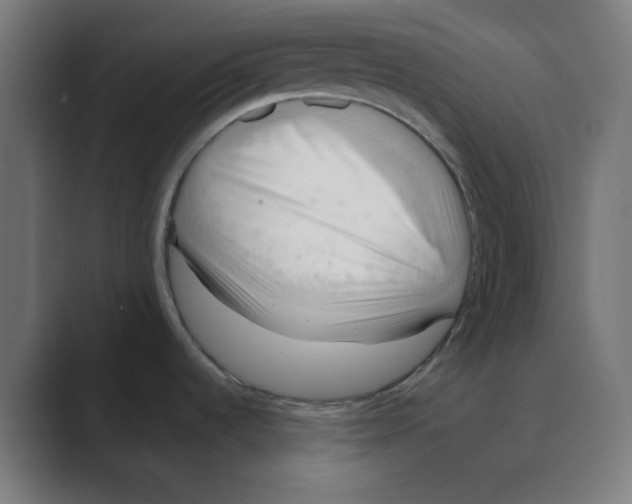 X0000088491536200706191415
