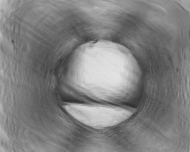 X0000088570077200705250719