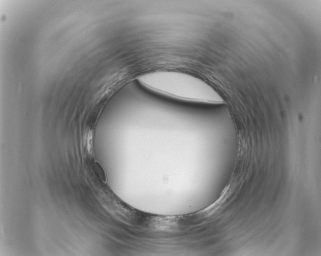 X0000088570094200705250719