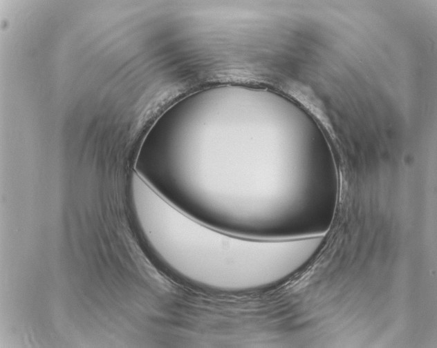 X0000088570109200705250718