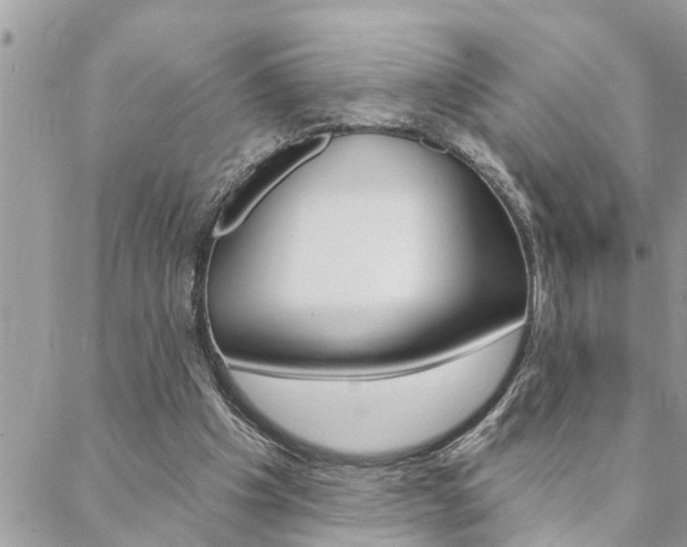 X0000088570201200705250717