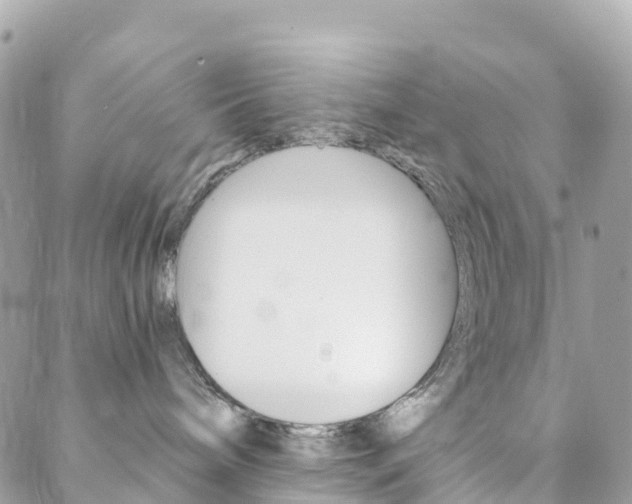 X0000088570240200705250716