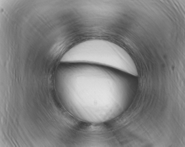 X0000088570270200705250716