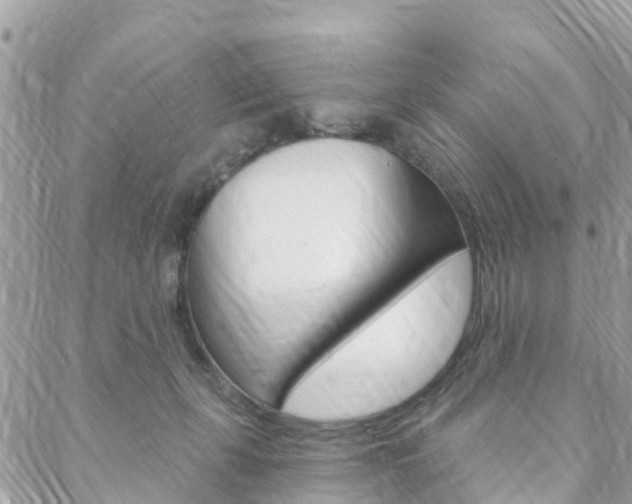 X0000088570271200705250716