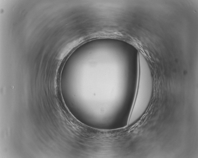 X0000088570340200705250714