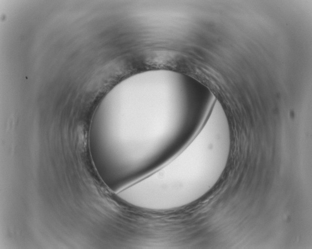 X0000088570420200705250713
