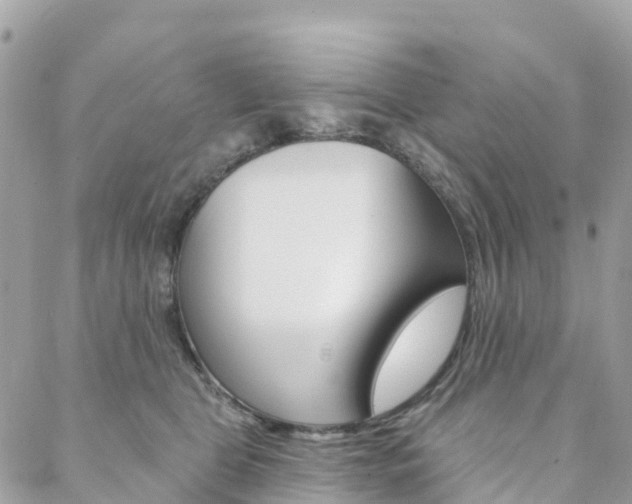 X0000088570469200705250713