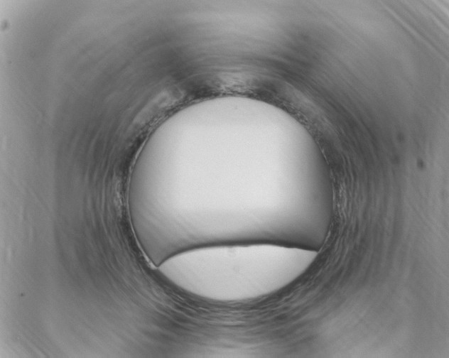 X0000088570506200705250712