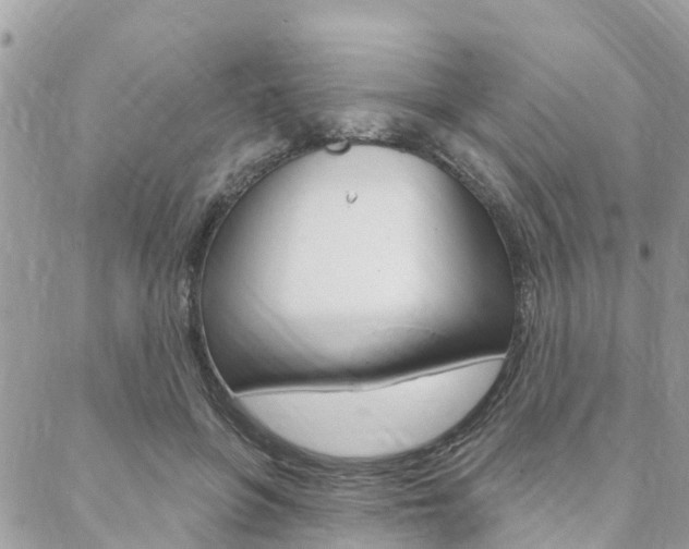 X0000088570551200705250711