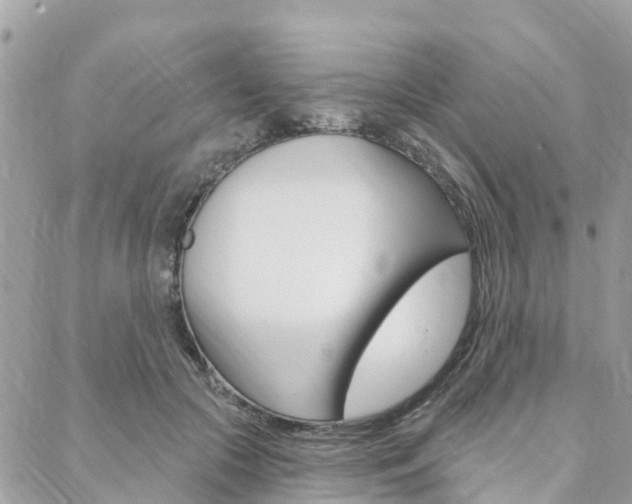 X0000088570553200705250711