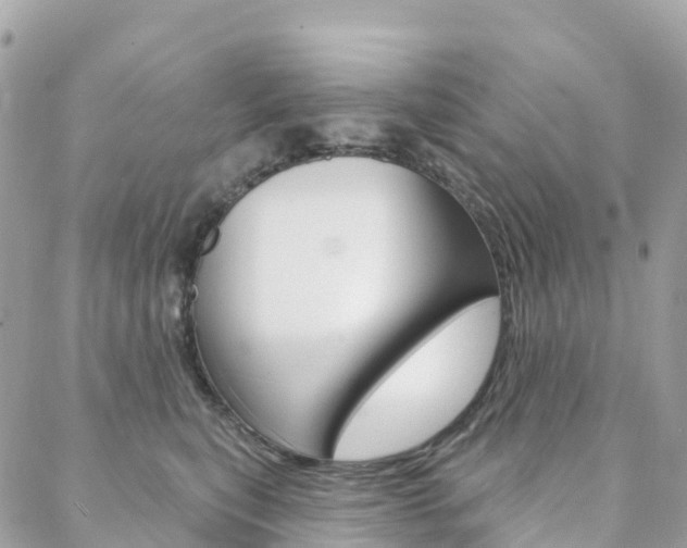 X0000088570567200705250712