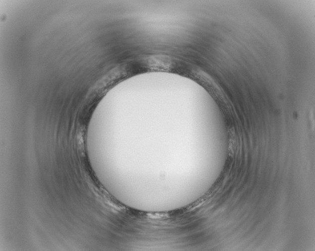 X0000088570573200705250712