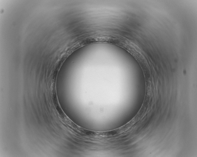 X0000088570604200705250710
