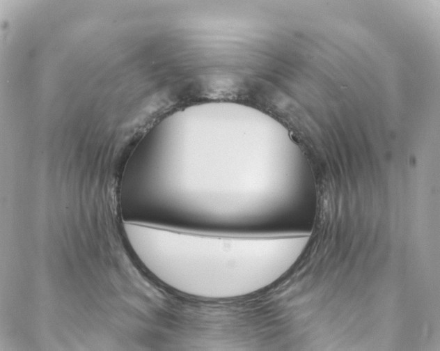 X0000088570620200705250710
