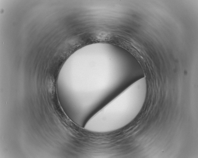 X0000088570651200705250710